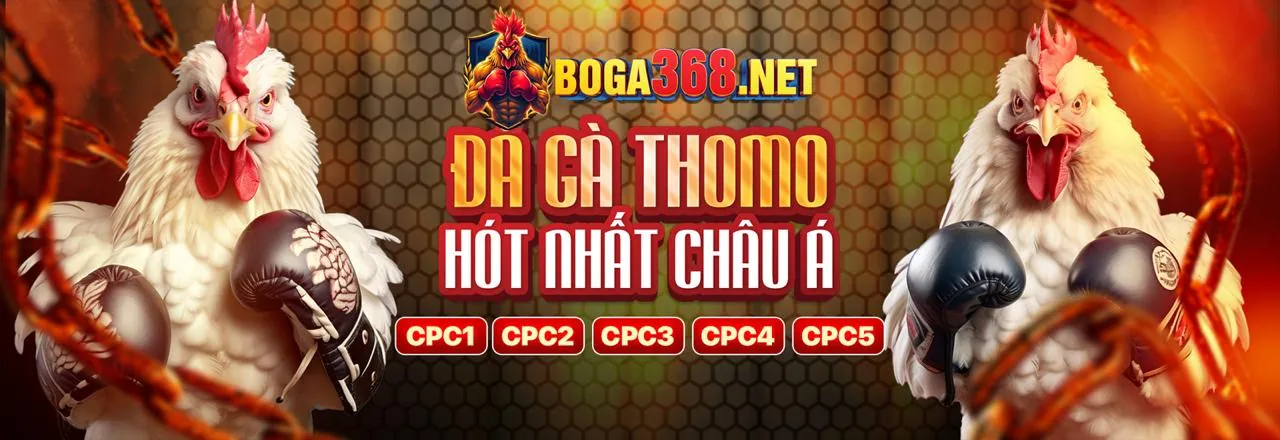 Đá Gà Trực Tuyến Bong88